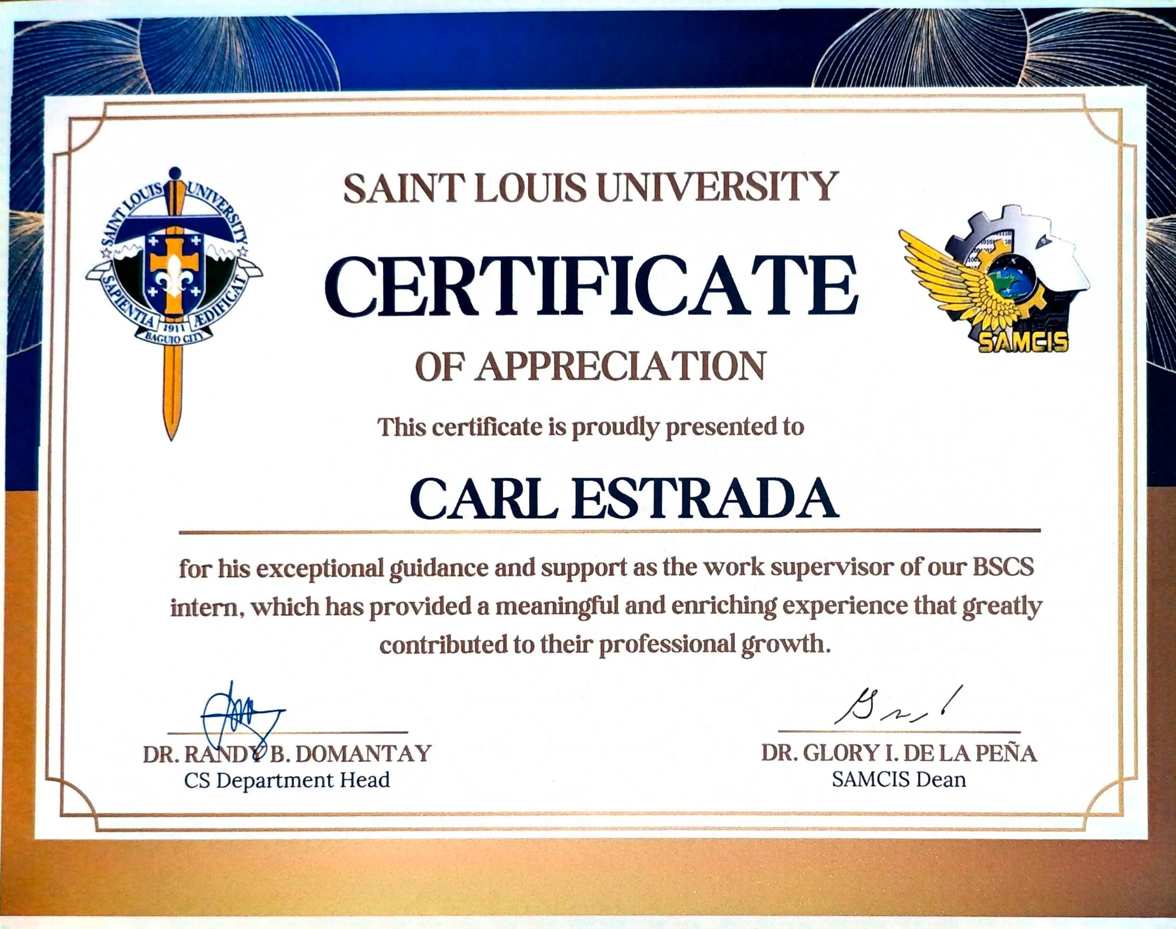 Work supervisor, BSCS internship program